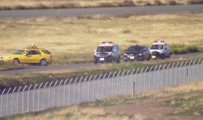 快訊／野熊闖入日本花卷機場！跑道緊急封閉　所有航班暫停起降