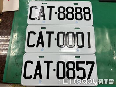 貓奴也狂搶「CAT-9527」　得標金額驚呆！他噴笑：可愛死了台灣人