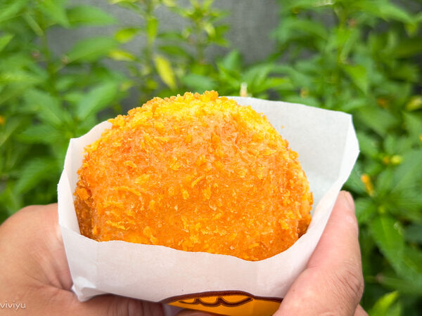 ▲▼源寶屋咖哩麵包。（圖／部落客VIVIYU小世界授權提供）