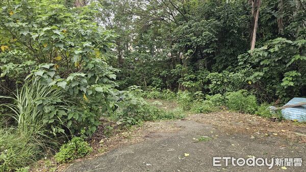 ▲桃園市李姓男子10日清晨不滿前女友提分手，相約在平鎮區金陵路三段一處偏僻空地談判，卻趁機勒殺，圖為案發現場附近。（資料照／記者沈繼昌翻攝）