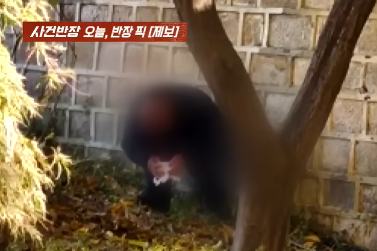 首爾景福宮離譜1幕！疑中國遊客「當眾脫褲大便」　韓網氣炸