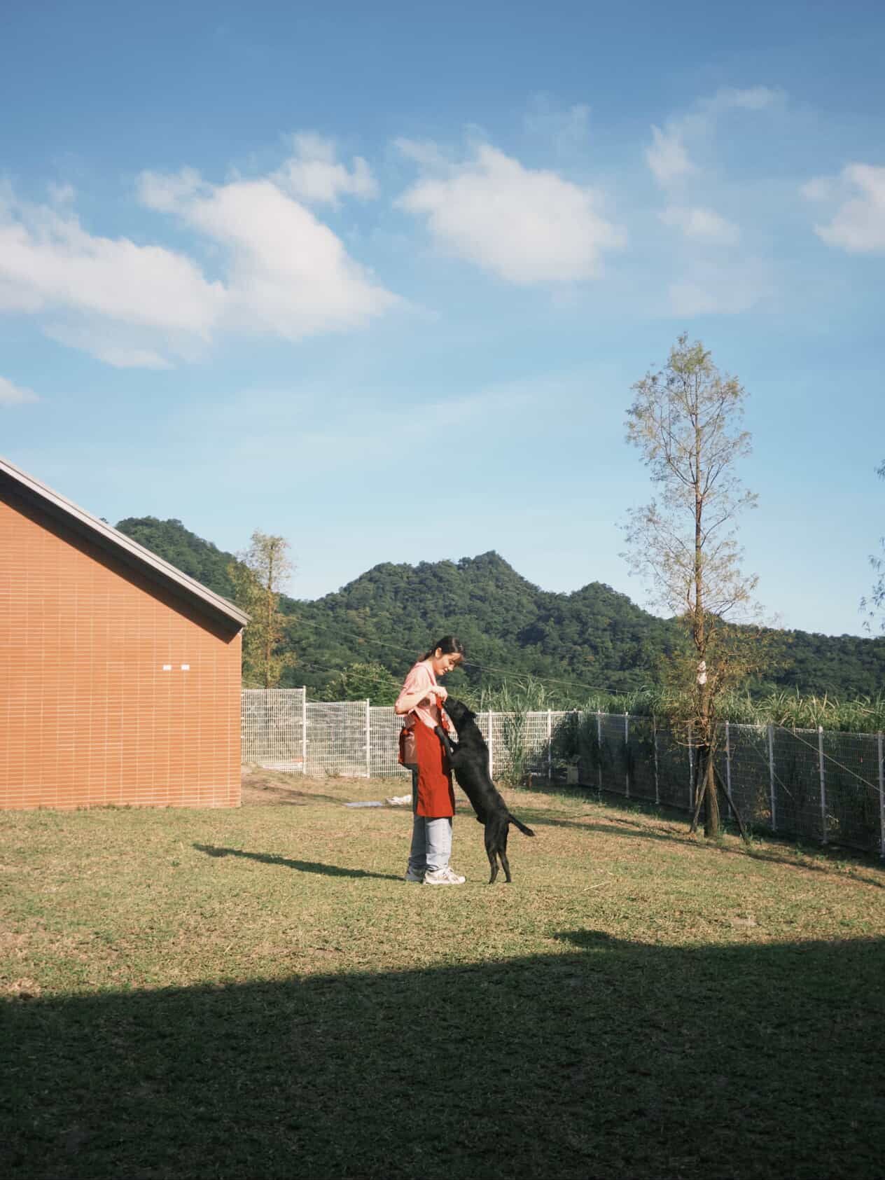 ▲瑞芳狂降豪雨！網憂動物之家恐釀災　自費包車「揪團上山」助防颱。（圖／阿布 Boocake @_boocakeeeee提供，請勿隨意翻拍，以免侵權。）