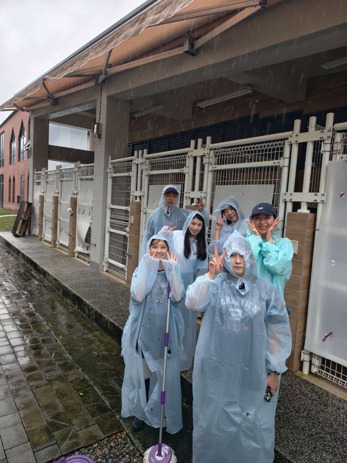 ▲瑞芳狂降豪雨！網憂動物之家恐釀災　自費包車「揪團上山」助防颱。（圖／阿布 Boocake @_boocakeeeee提供，請勿隨意翻拍，以免侵權。）