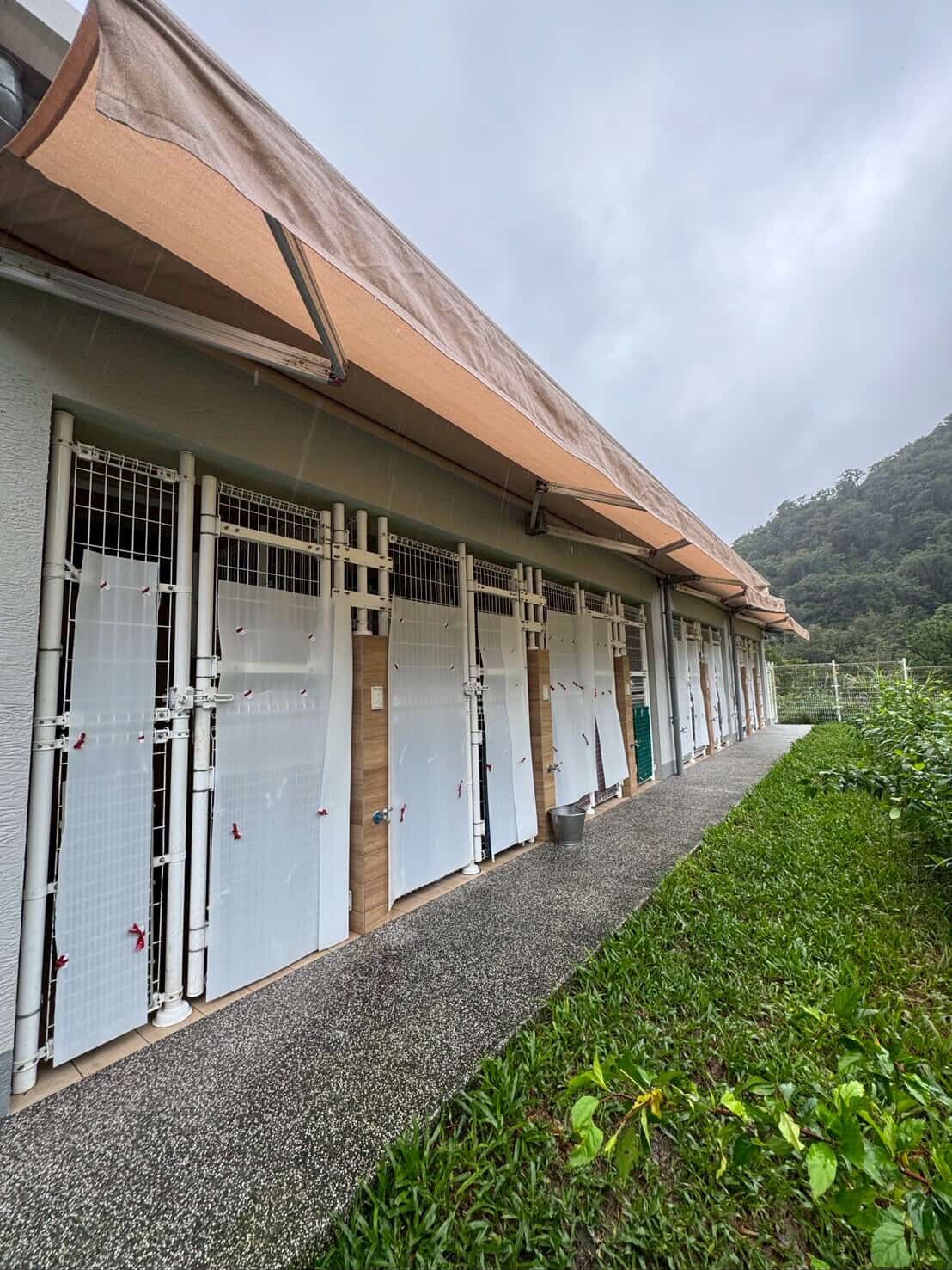 ▲瑞芳狂降豪雨！網憂動物之家恐釀災　自費包車「揪團上山」助防颱。（圖／阿布 Boocake @_boocakeeeee提供，請勿隨意翻拍，以免侵權。）