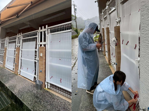 ▲瑞芳狂降豪雨！網憂動物之家恐釀災　自費包車「揪團上山」助防颱。（圖／阿布 Boocake @_boocakeeeee提供，請勿隨意翻拍，以免侵權。）