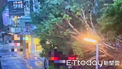 颱風天避開路樹、廣告招牌　北市路樹一日兩倒塌砸豪車