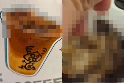 獵奇！北京博物館開賣「蟑螂粉咖啡」　恐怖外觀嚇壞一票人