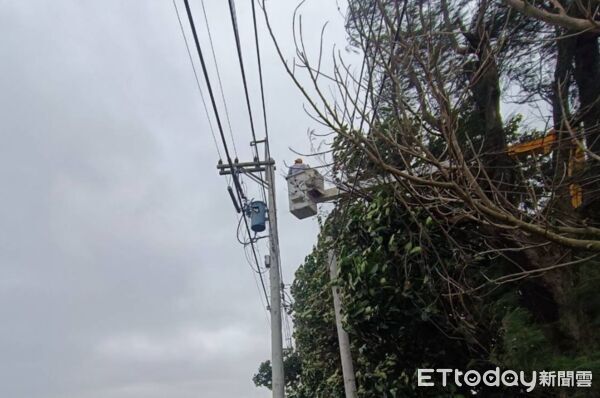 ▲鳳凰颱風來襲，雲林沿海強風不斷，台電人員冒雨搶修受損電線，力拼復電進度。（圖／台電雲林區提供）