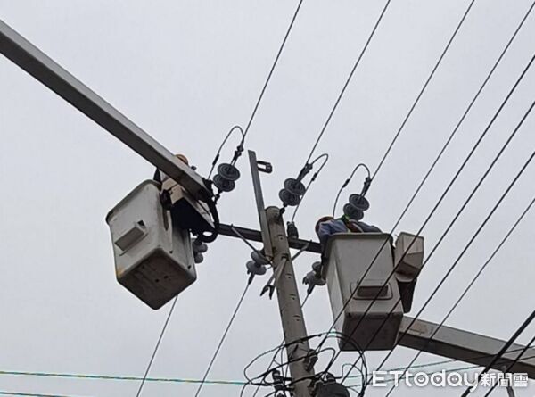 ▲鳳凰颱風來襲，雲林沿海強風不斷，台電人員冒雨搶修受損電線，力拼復電進度。（圖／台電雲林區提供）
