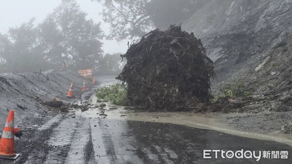 ▲大樹因豪雨沖刷、邊坡落石遭連根拔起橫躺路中，雙向道路均受阻。（圖／記者楊晨東翻攝） 