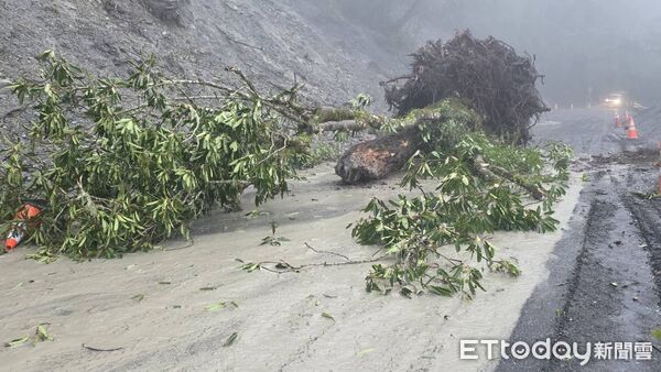▲大樹因豪雨沖刷、邊坡落石遭連根拔起橫躺路中，雙向道路均受阻。（圖／記者楊晨東翻攝） 