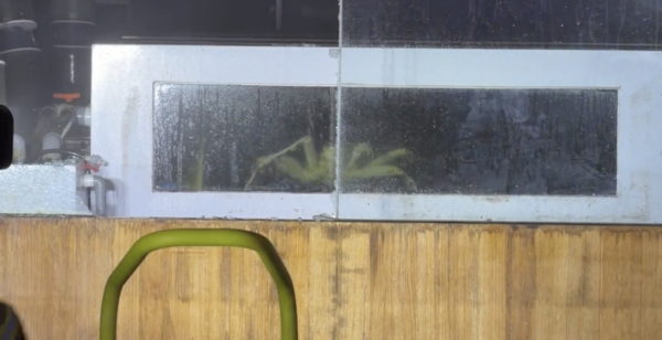 ▲▼平凡五金行             。（圖／民眾提供）