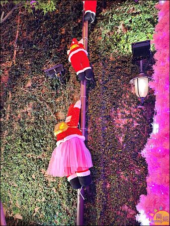 ▲▼台中必打卡聖誕免費景點。（圖／部落客商妮提供）