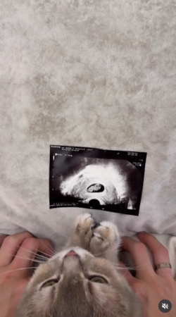 ▲▼黃沐妍。（圖／翻攝自Instagram／tystarpiggggg）