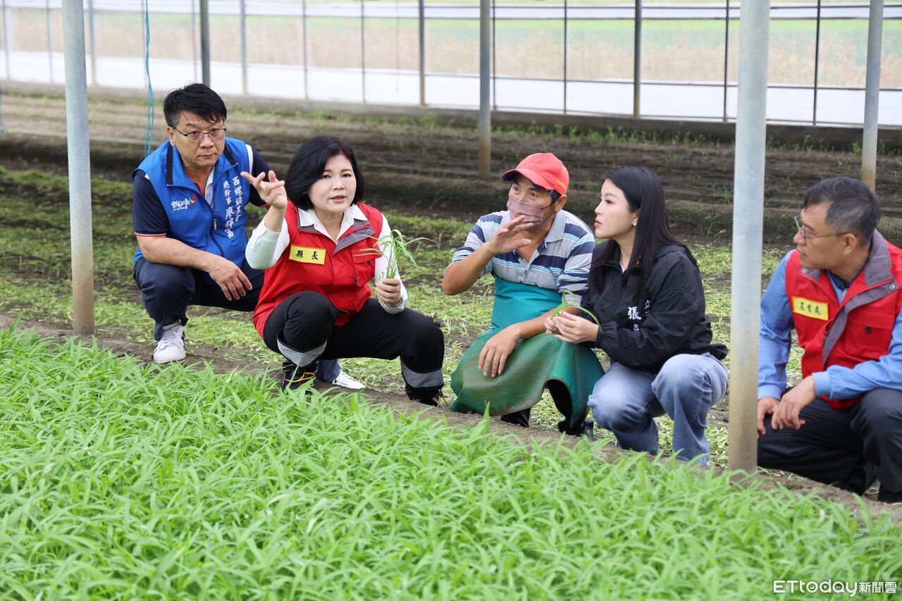 雲林稻作進入關鍵期颱風來攪局　農會24小時開機「搶收戰」