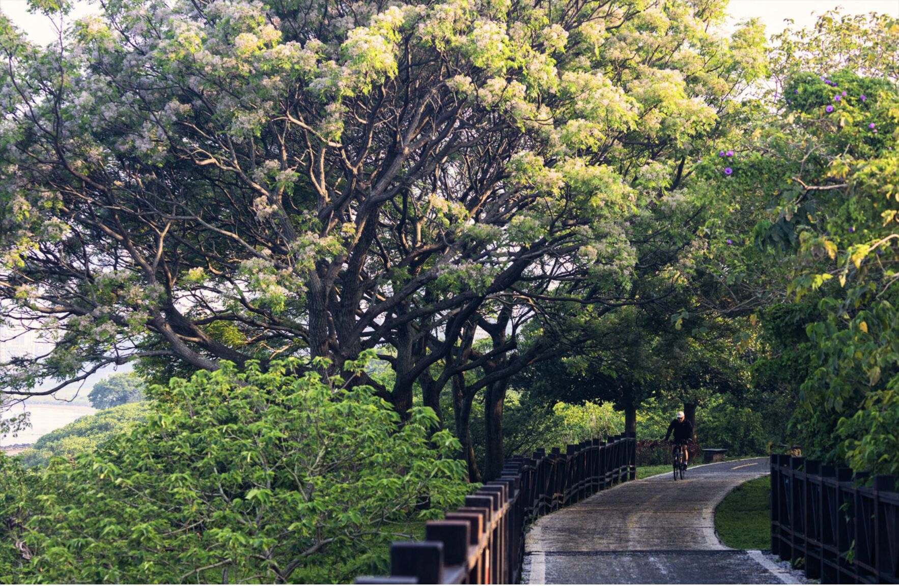 ▲▼紅樹林,捷運,紅線,新北大巨蛋,淡江大橋,輝達,北士科,將捷舟際,將捷建設。（圖／翻攝自建案官網）