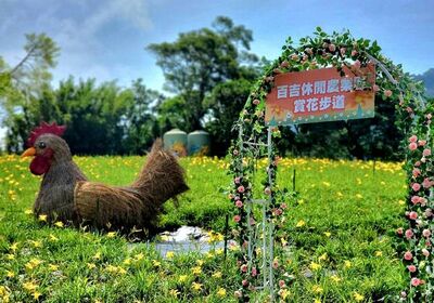 體驗水鄉客庄之美　桃園休閒農業區再加兩處