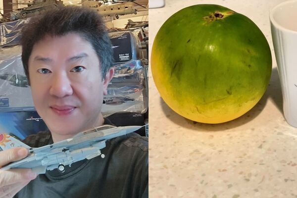 僑胞龜吼漁港買4顆黃金果988元　彭華幹：連台灣人也坑殺