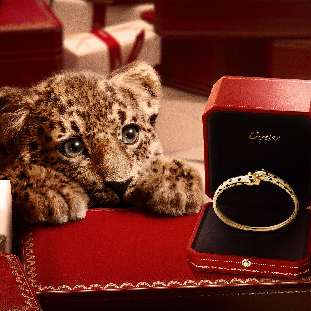 ▲▼  Cartier AD          。（圖／公關照）