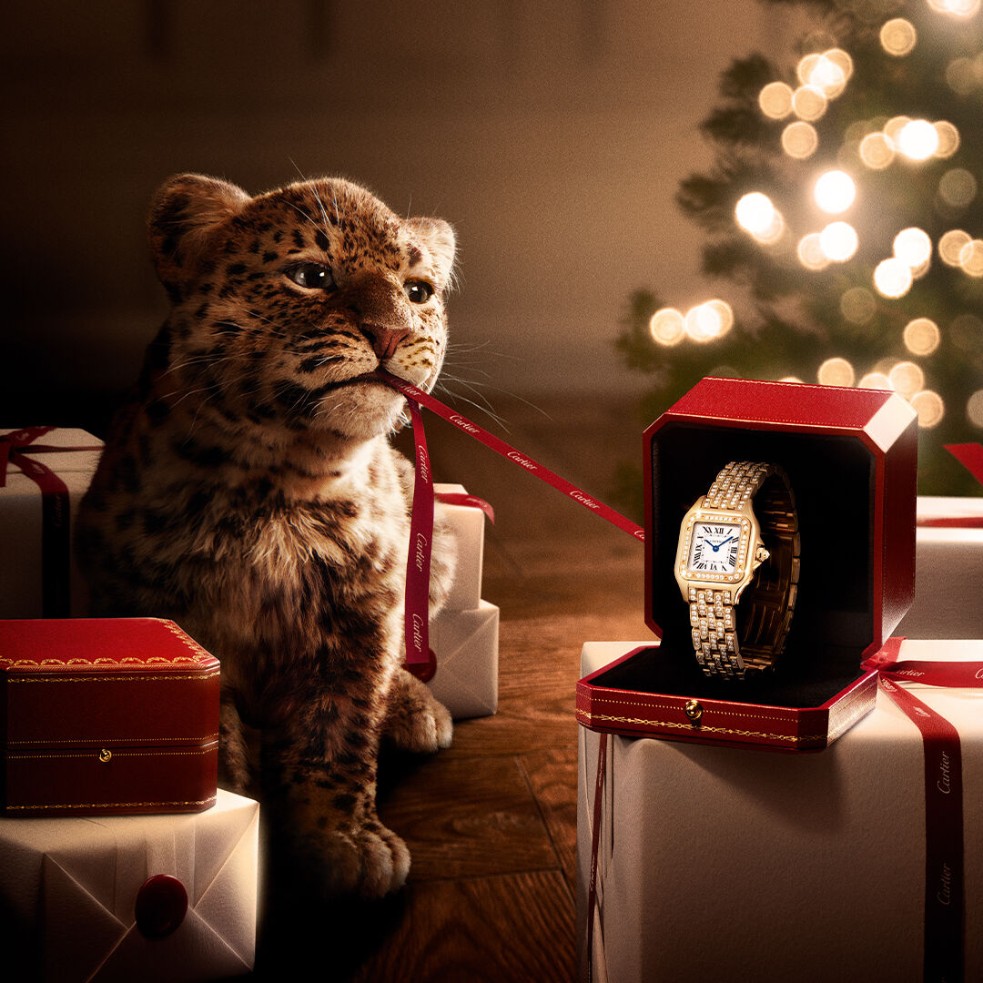 ▲▼  Cartier AD          。（圖／公關照）