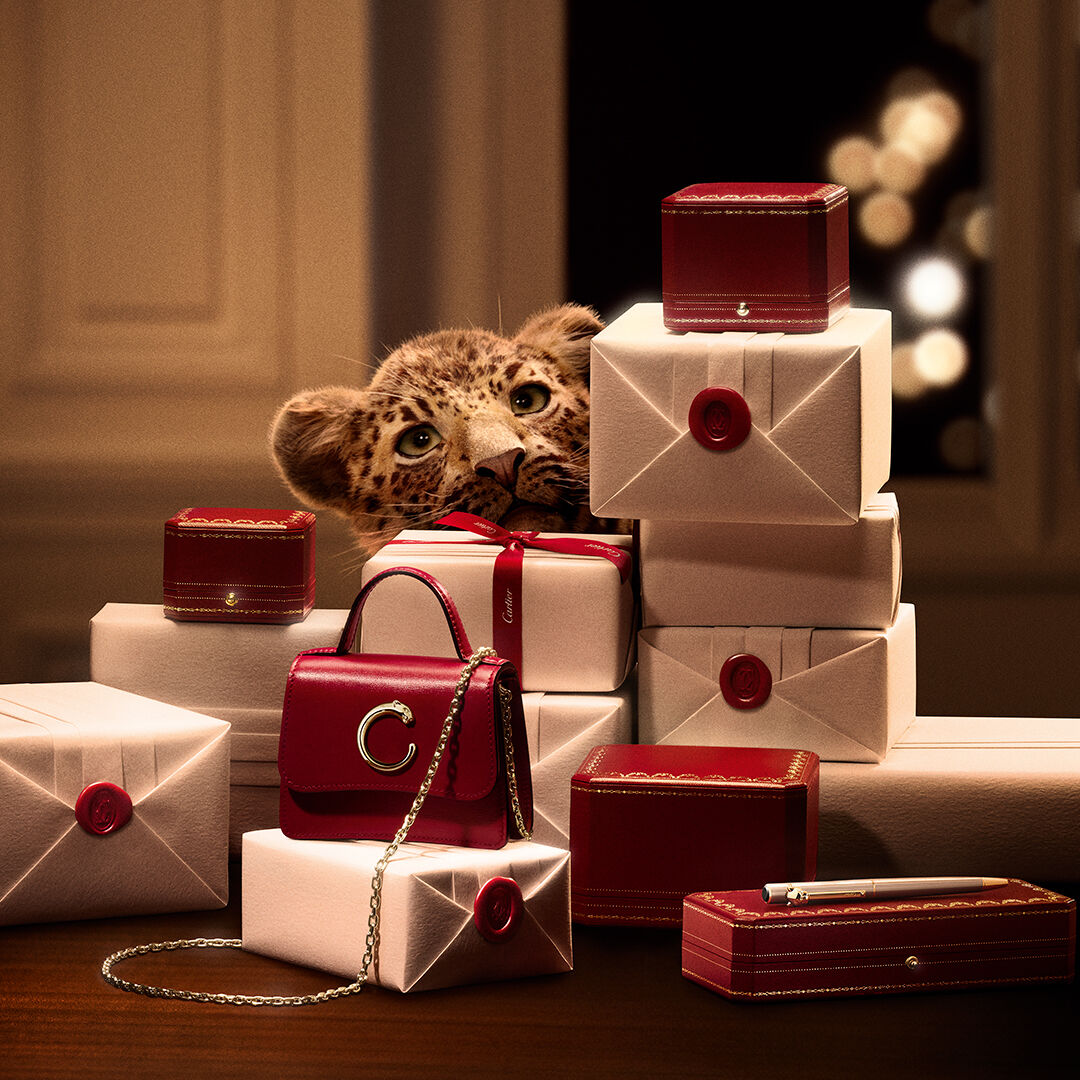 ▲▼  Cartier AD          。（圖／公關照）