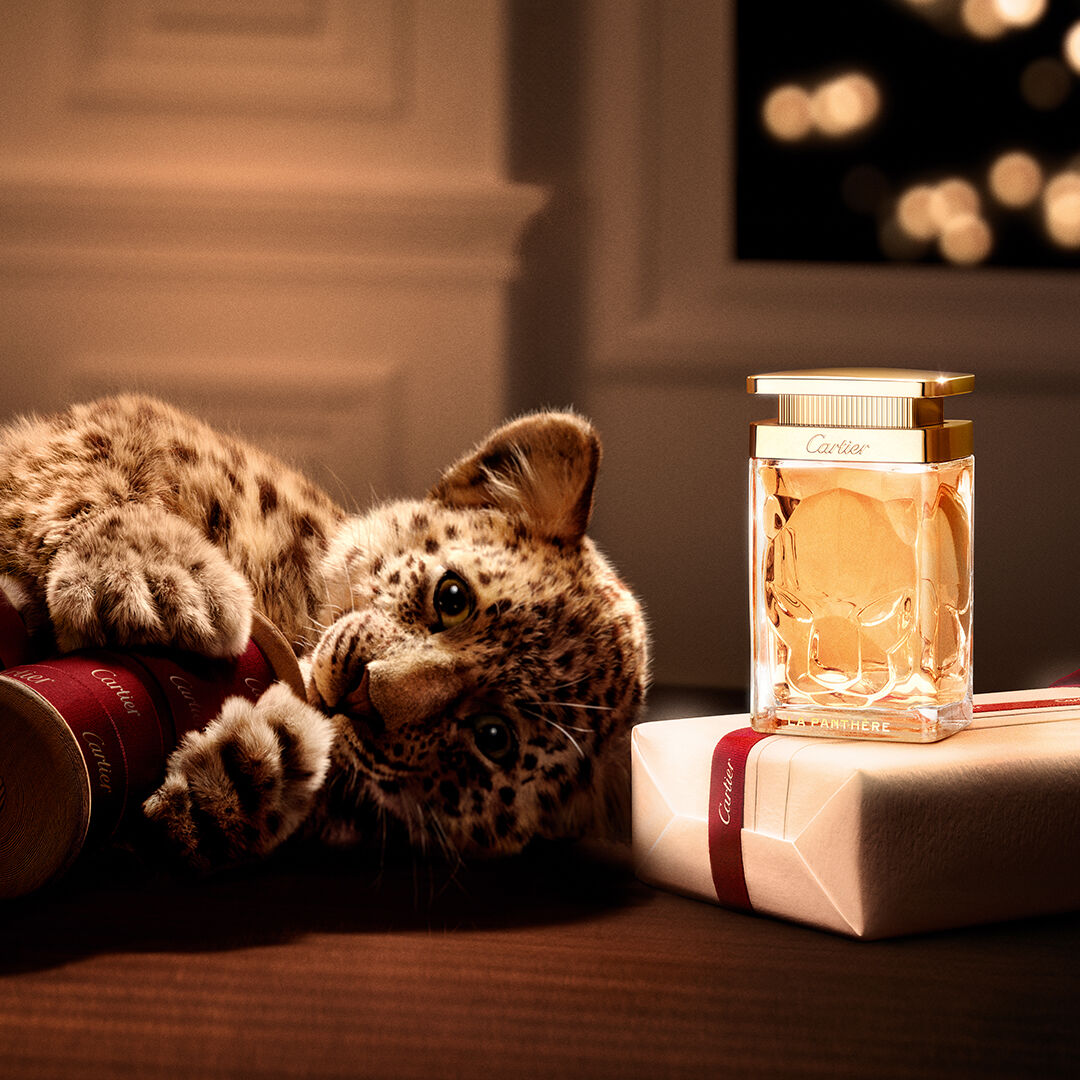 ▲▼  Cartier AD          。（圖／公關照）