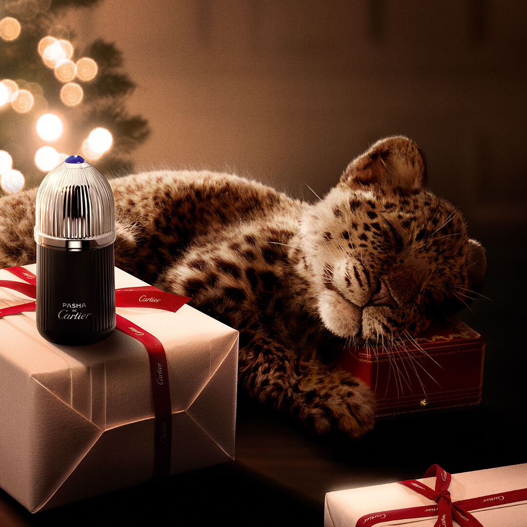 ▲▼  Cartier AD          。（圖／公關照）