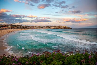 親子旅遊新選擇！帶孩子輕鬆玩轉新南威爾士州