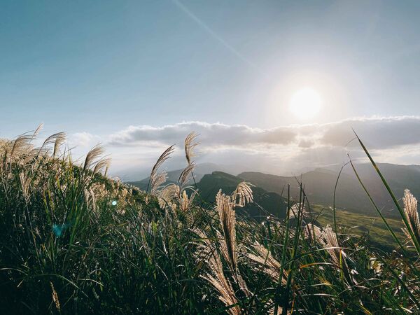 ▲福隆福容飯店則祭出「普發萬元，買萬送萬」專案,精緻和洋客房,流體熊,2025草嶺古道芒花季,福隆海洋溫泉。（圖／業者提供）