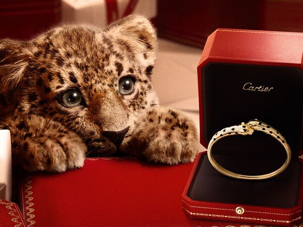 卡地亞小美洲豹總店尋夢幻禮物　點亮佳節夢想