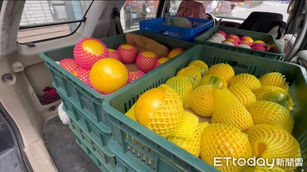 ▲彭華幹購買的是紅網黃金果，一顆大約一斤250元。（圖／記者郭世賢翻攝）