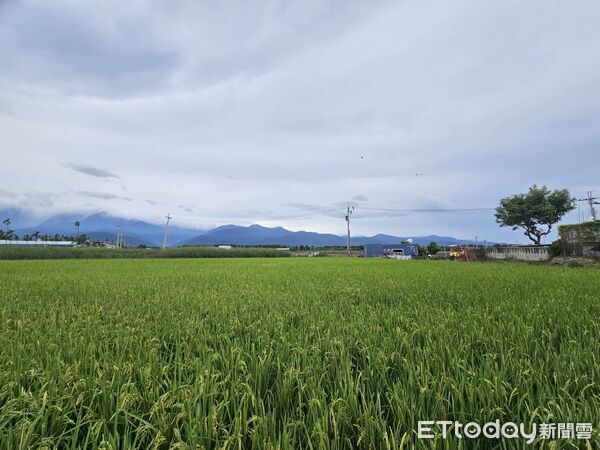 ▲三七五減租，屏縣府地政處協助租佃雙方共創雙贏            。（圖／屏東縣政府提供)