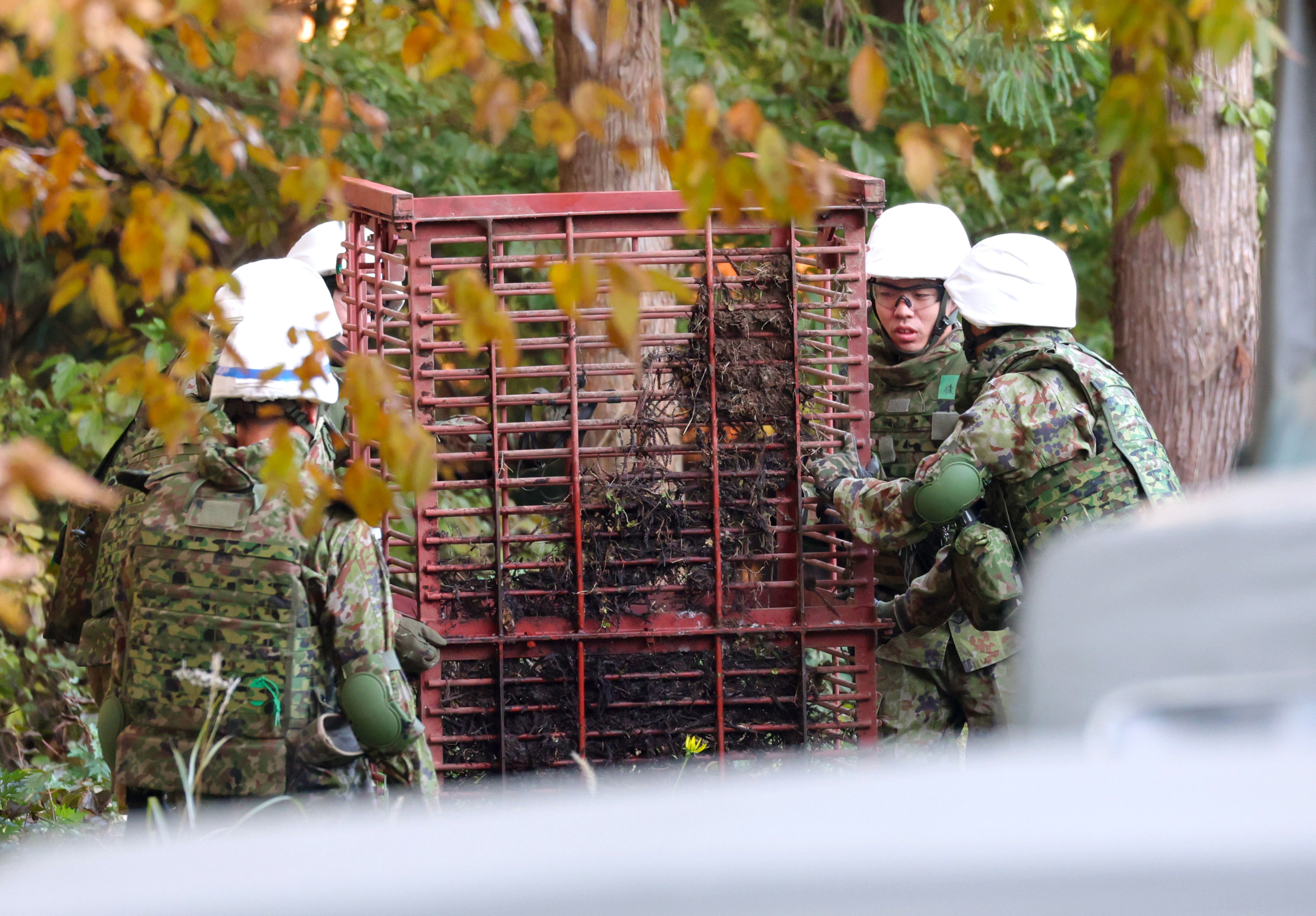 ▲▼日本自衛隊隊員在秋田縣鹿角市協助設置用於捕熊的廂籠陷阱。(圖/達志影像/美聯社)