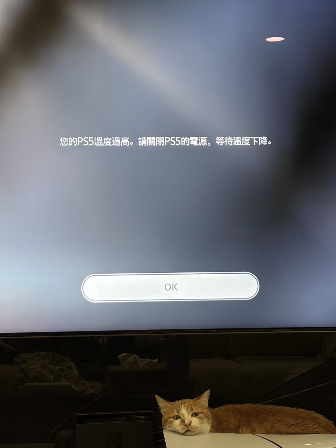 PS5過熱，兇手超可愛。（圖／Threads@vet_dr.jack提供）