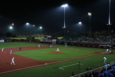 投手騎駱駝進場！杜拜BU職棒首季登場　獨特新規則加快比賽節奏