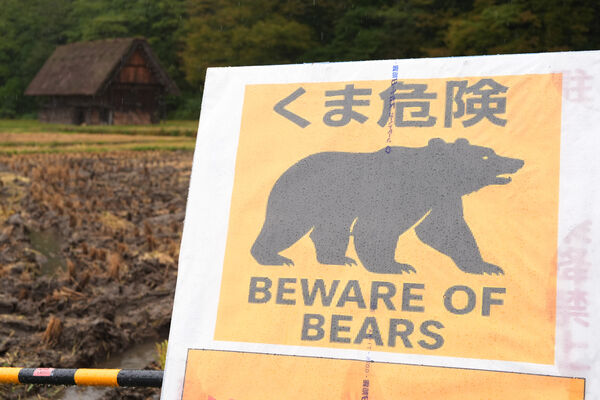 ▲日本今年熊害頻繁，岐阜縣白川鄉合掌村豎立「熊隻出沒」的警告招牌。（圖／達志影像／美聯社）
