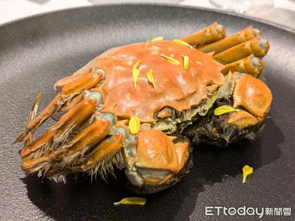 ▲天香樓大閘蟹料理開賣　新菜「禿黃油撈飯」僅用蟹黃蟹膏製作。（圖／記者黃士原攝）