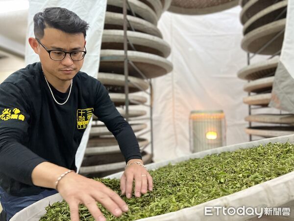 ▲▼   嘉義縣首奪全國機採茶菁冠軍 傳統與創新並肩而行     。（圖／竹崎農會提供）