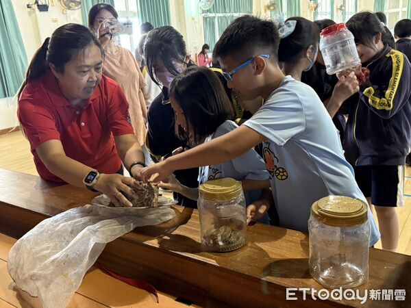 ▲▼   嘉義縣政府入校推廣野生動物及外來入侵種教育   。（圖／嘉義縣政府提供）