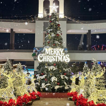 ▲▼SKM Park Outlets高雄草衙雪境童話村。（圖／翻攝自SKM Park Outlets高雄草衙臉書專頁）