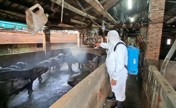 ▲新北加碼補貼飼料與防疫設備。（圖／新北市農業局提供）