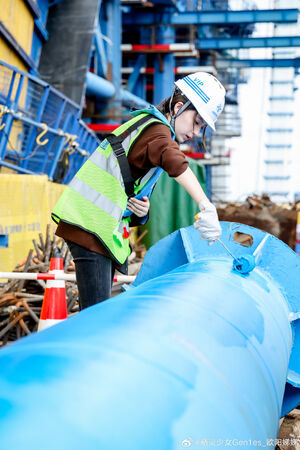 ▲▼歐陽娣娣。（圖／翻攝自微博／歐陽娣娣）