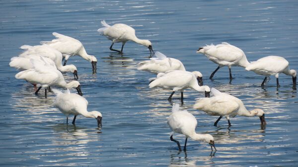 ▲▼嘉義觀海樓。（圖／嘉義縣政府提供）
