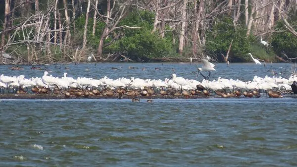 ▲▼嘉義觀海樓。（圖／嘉義縣政府提供）