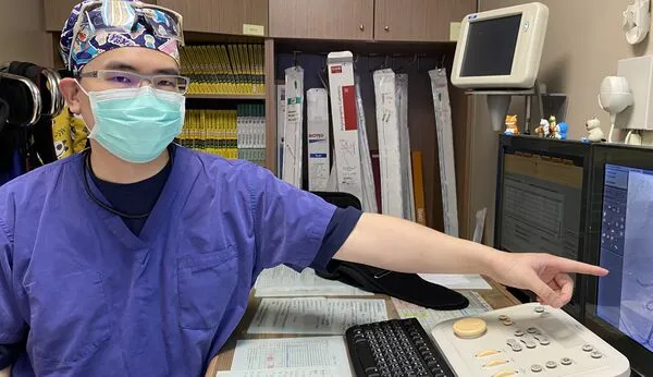 ▲▼員榮心導室主任林彤宥醫師解釋血管栓塞術。。（圖／員榮醫院提供）