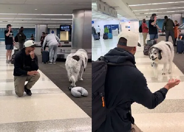 ▲。（圖／翻攝自TikTok／@ritchiethepyr）