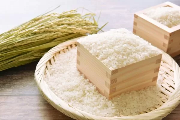 稻農建議可用寶特瓶保存白米冰存在冰箱，能避免長米蟲。（示意圖，photoAC）