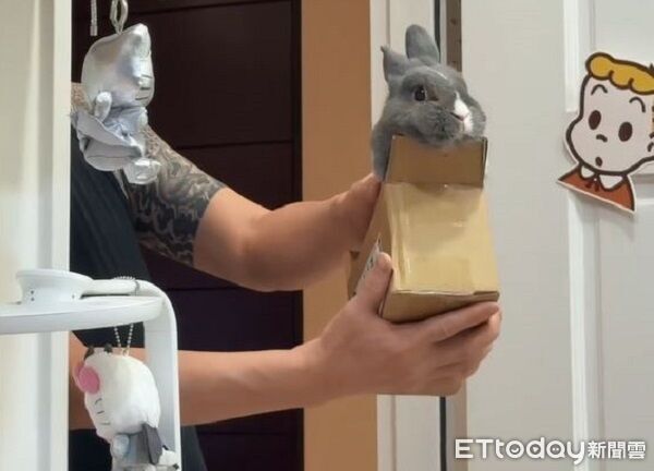 「兔兔包裹」直送房間！　爸捧毛孫入戲喊簽收：小姐快遞到囉