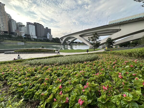 ▲新北市景觀處表示，本次碧潭河畔共栽種超過3500株繽紛草花，以及6000多株玉龍草。（圖／翻攝自Facebook／賞花快報）