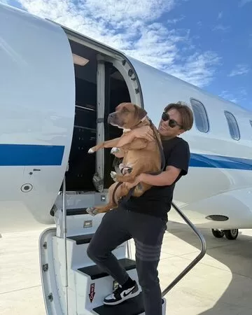 ▲山本由伸公開愛犬「卡洛斯」大量萌照曝光！　與大谷愛犬已成好朋友。（圖／取自山本由伸ＩＧ）